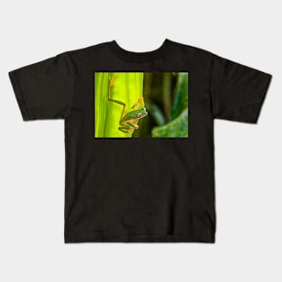 Cute Monkey Treefrog in the Rainforest Kids T-Shirt